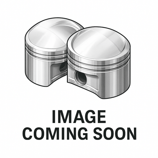 BLT-1110-005